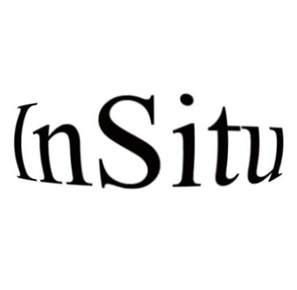 logo InSitu
